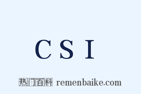 CSI是什么意思的图片